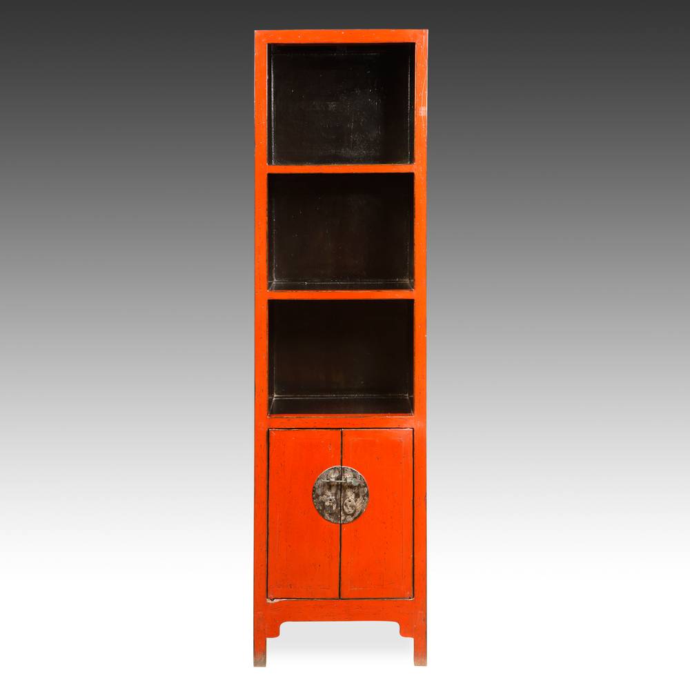 Tall bookcase with 2 doors